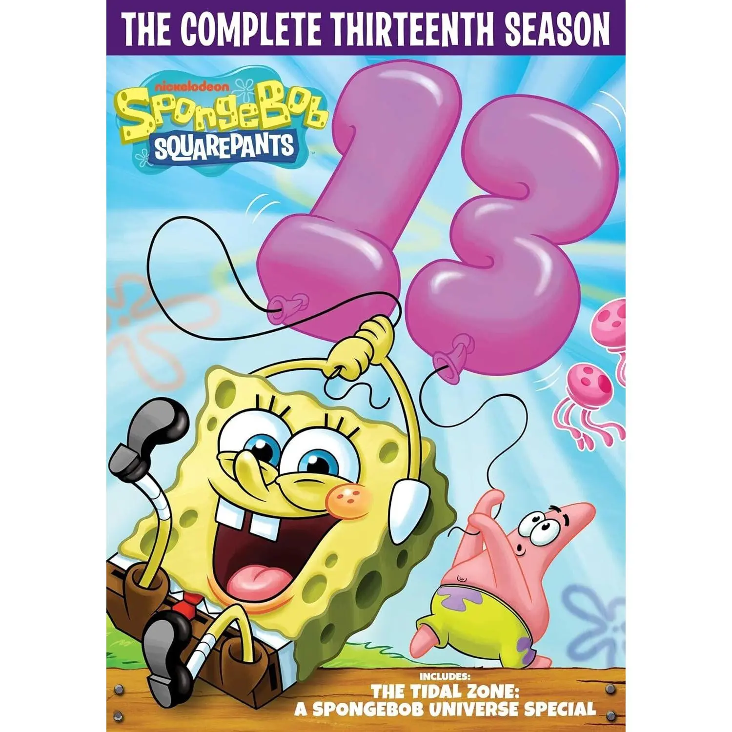 SpongeBob SquarePants: The Complete Thirteenth Season  [DVD Video Disc] Boxed Set, Dolby, Dubbed, Widescreen, Ac-3/Dolby Digital