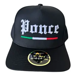 Name  Embroidered Tricolor Line Hat - Black Snapback Cap with White Text and Colorful Line