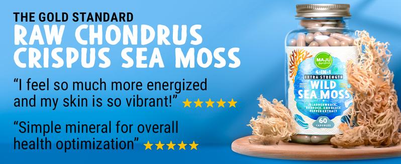 MAJU Organic Wild Sea Moss Capsules (60ct), Supplement Dietary Healthcare Natural Edible Fitness, Chondrus Crispus