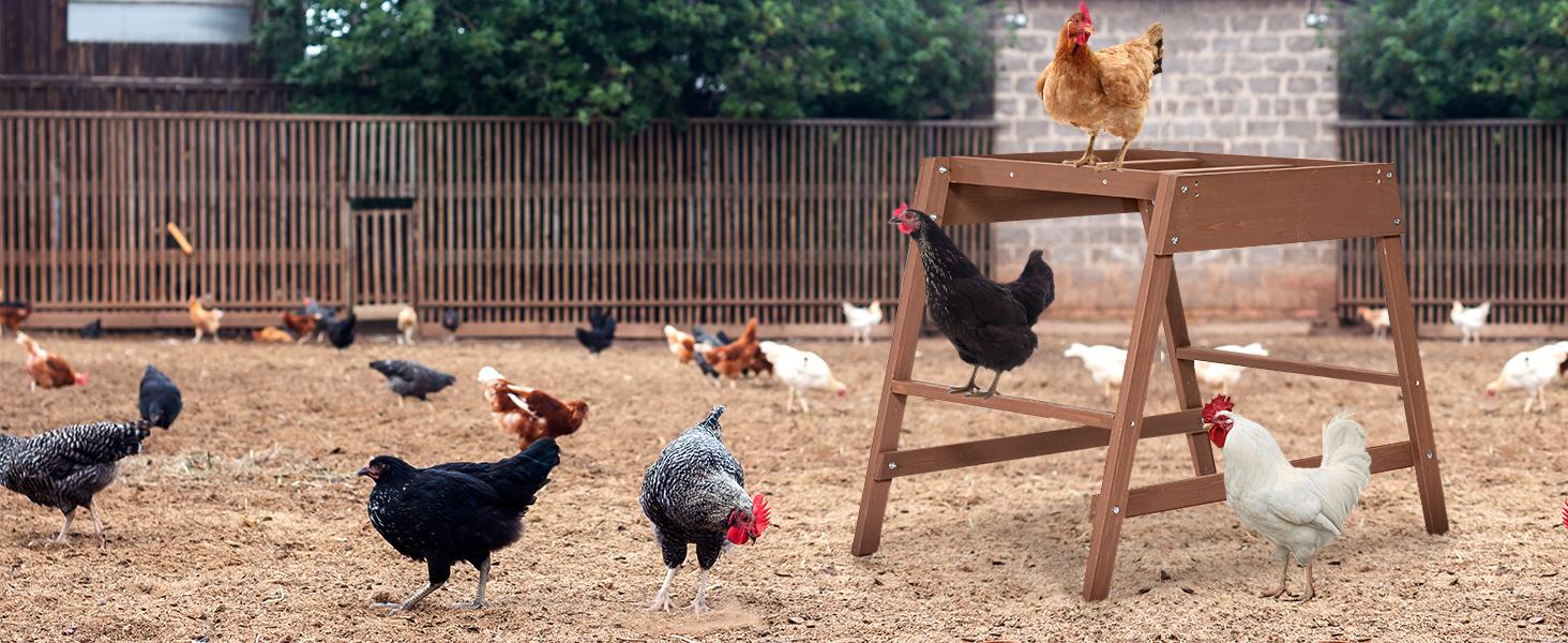 [5-year warranty] PETSFIT Chicken Roosting Bars for Hens with 2 Swings,Chickens Perch for Pet's Healthy and Play,Chicken Coop Accessories for 6-8 Chickens,Easy to Assemble and Clean