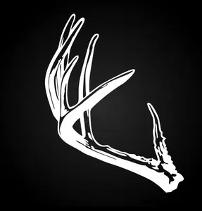 Trophy Rack Deer Antler Sticker - High Quality Outdoor Vinyl Sticker for Trucks, Coolers & Safes - Durable Weatherproof Hunting Gear Sticker