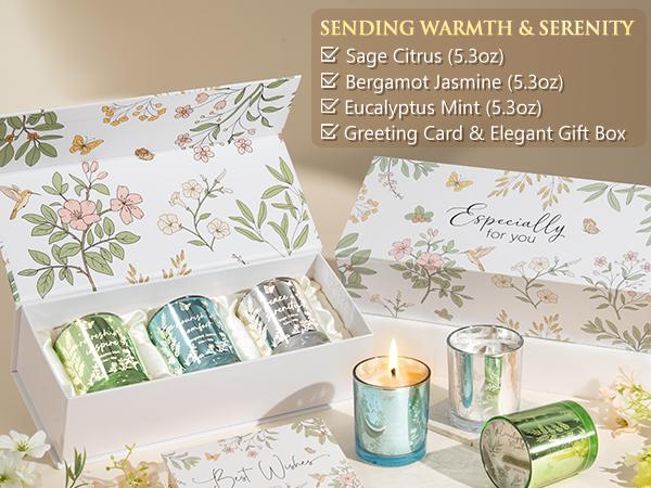 Mayicivo 3-Pack Soy Scented Candles, Home Fragrance Votive Candles, Festive Holiday Gifts for Women (Christmas, Birthday Presents for Mom, Friends) Mayicivo 3-Pack Soy Scented Candles, Home Fragrance Votive Candles, Festive Holiday Gifts for Women (Christmas, Birthday Presents for Mom, Friends)