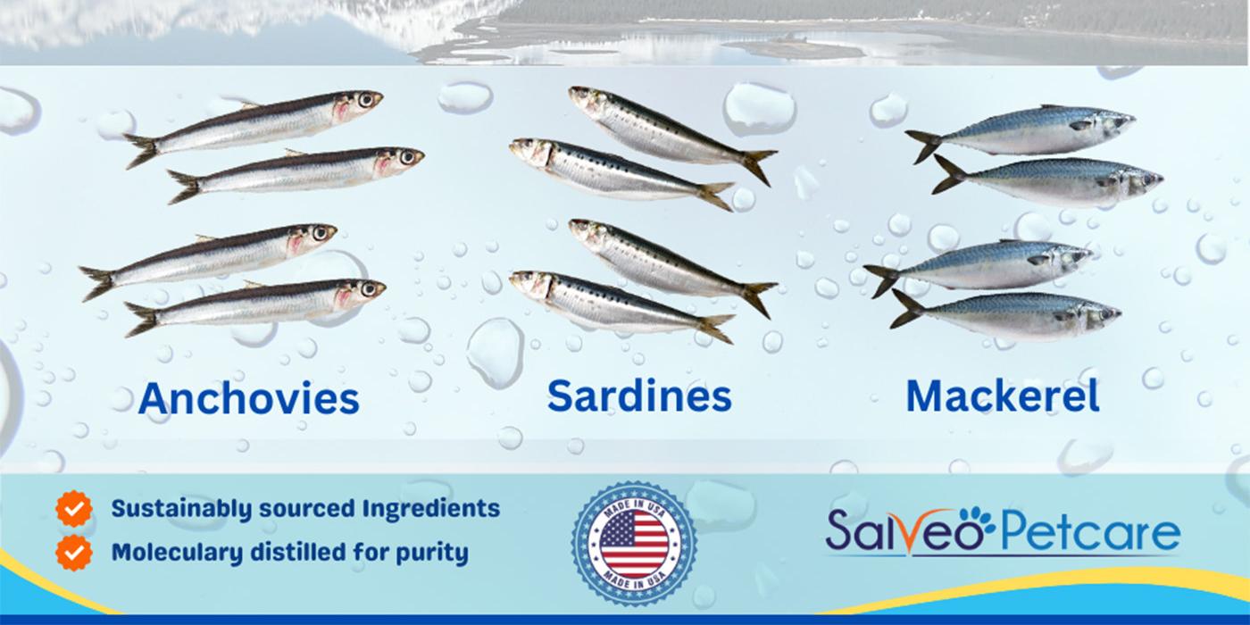 60 capsules per bottle, amazing omega 3 fish oil, suitable for dogs and cats-promotes skin health in dogs and cats, helps to solve dry skin and hot spot problems, rich in EPA and DHA fatty acids, supports the skin and nutrition of dogs and cats-BY