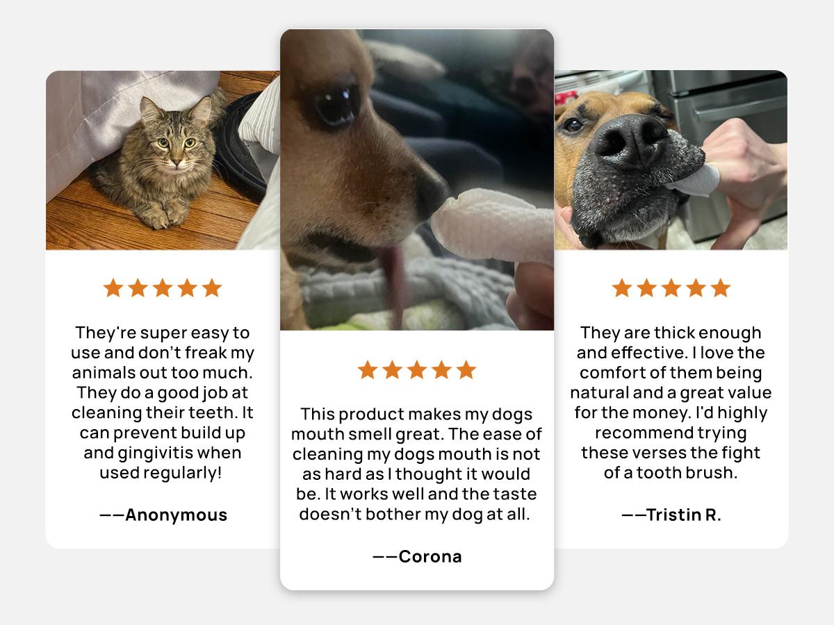 【SpringGlowUp】HICC PET Dog&Cat Teeth Cleaning Finger Wipes for Pets:Prevent pet tooth decay and prolong pet life Gentle non-irritating freshens breath whitens gums and strengthens teeth Made with all-natural coconut oil #petlife Cleaner 【SpringGlowUp】HICC PET Dog&Cat Teeth Cleaning Finger Wipes for Pets:Prevent pet tooth decay and prolong pet life Gentle non-irritating freshens breath whitens gums and strengthens teeth Made with all-natural coconut oil #petlife Cleaner