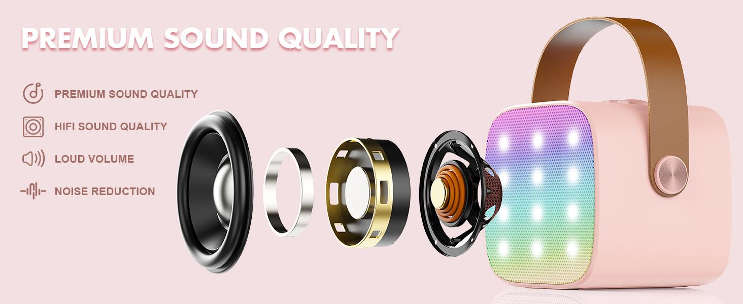 Mini Karaoke Machine with 2 Microphones, Portable Bluetooth Karaoke Machine with Light, Birthday Gifts for Girls Boys Son Daughter Home Party