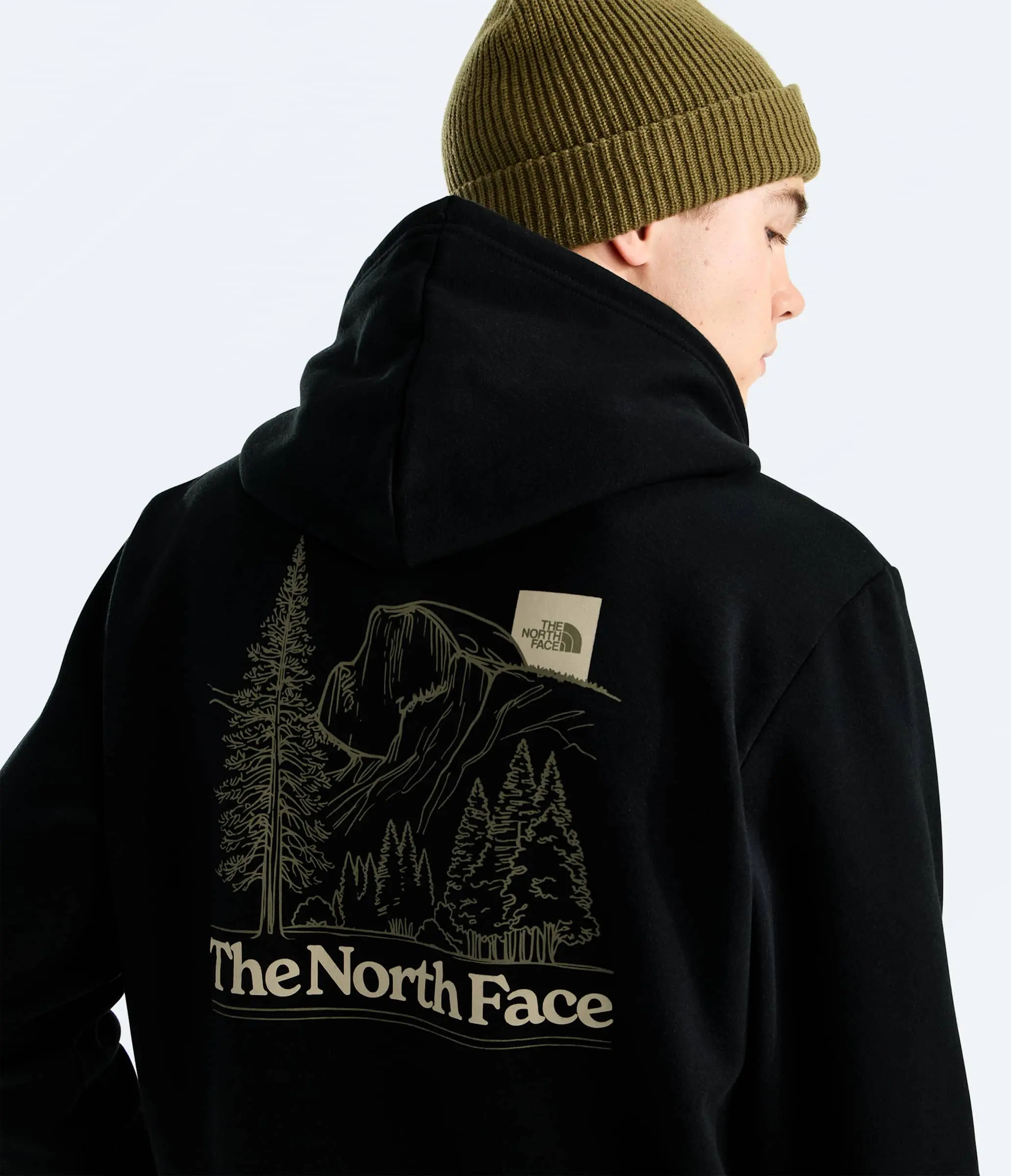 The North Face Men's Evolution Monte Regular Hoodie
