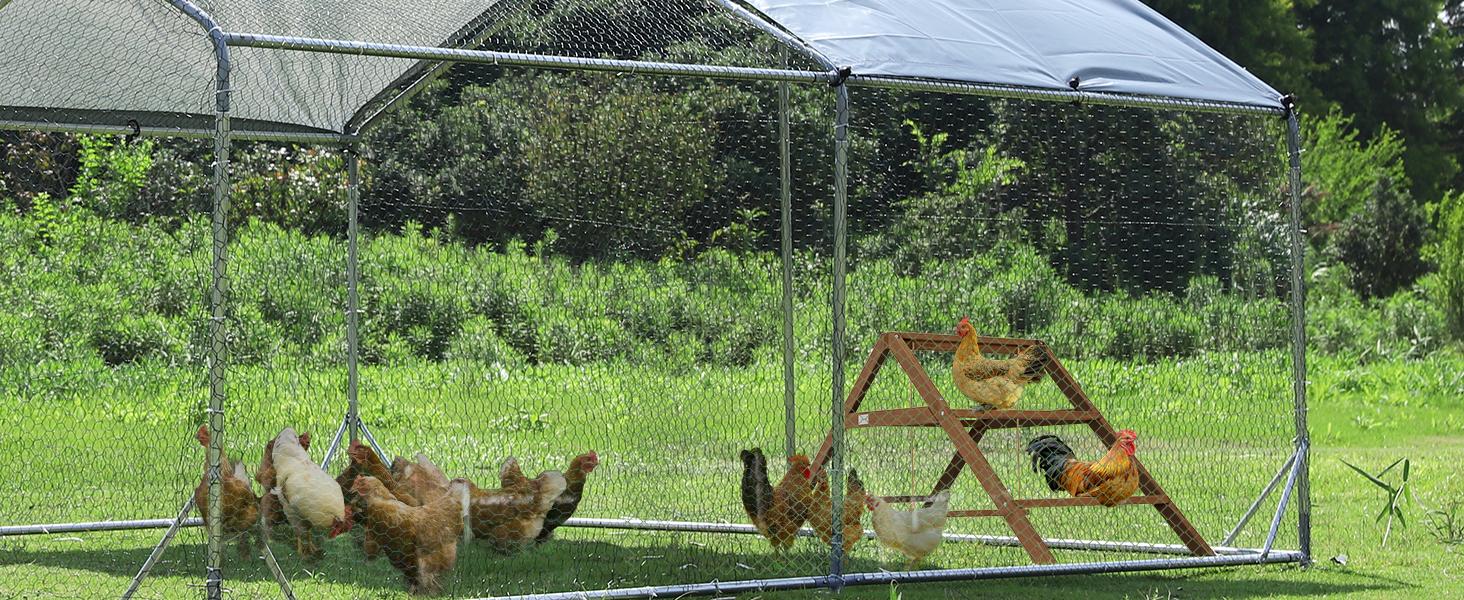 [5-year warranty] PETSFIT Chicken Roosting Bars for Hens with 2 Swings,Chickens Perch for Pet's Healthy and Play,Chicken Coop Accessories for 6-8 Chickens,Easy to Assemble and Clean