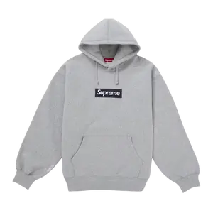 SUPREME HOODIE 'BOX LOGO FW25 GREY'