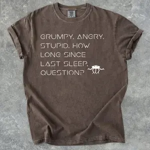 Grumpy Rocky Quote Vintage T-Shirt, Project Hail Mary Rocky Inspired Sci Fi Shirt, Bookish Comfort Colors Gift