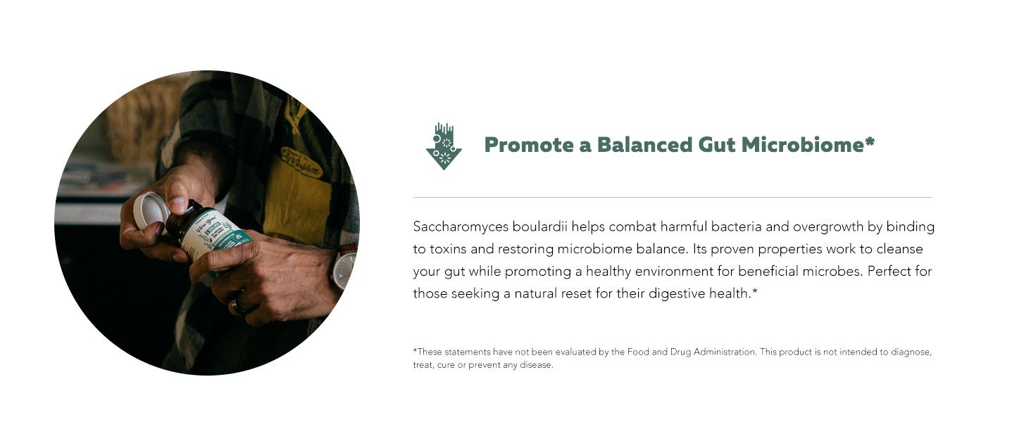 Organic Saccharomyces Boulardii | 10 Billion CFU – Clinically Validated CNCM I-1079 – Supports Gut & Digestive Health – 60 Count Healthcare Natural Organic Saccharomyces Boulardii | 10 Billion CFU – Clinically Validated CNCM I-1079 – Supports Gut & Digestive Health – 60 Count Healthcare Natural