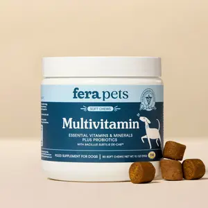Fera Pets Multivitamin Soft Chews for Dogs – Vet‑Formulated Daily Wellness with Essential Vitamins, Minerals, Omegas & Probiotics, 90 ct