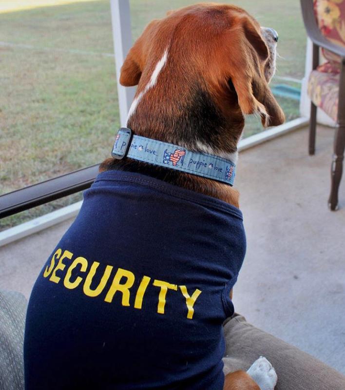 Dog Shirt Security Funny Sarcastic Tee for Puppy Sarcastic Shirt For Dogs Funny Dog Puppy TShirt Navy