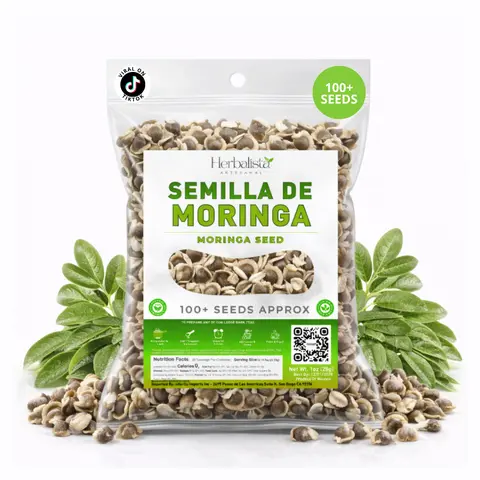 Herbalista Plantable PKM1 Moringa Oleifera (Malunggay) Seeds - 1oz (28g), 100+ Count, Premium Non-GMO Wildcrafted Drumstick Tree Seeds for Gardening, Partial Sun, All Seasons, Culinary Experimentation, Earthy Flavor Roasting & Snacking
