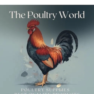 The poultry world