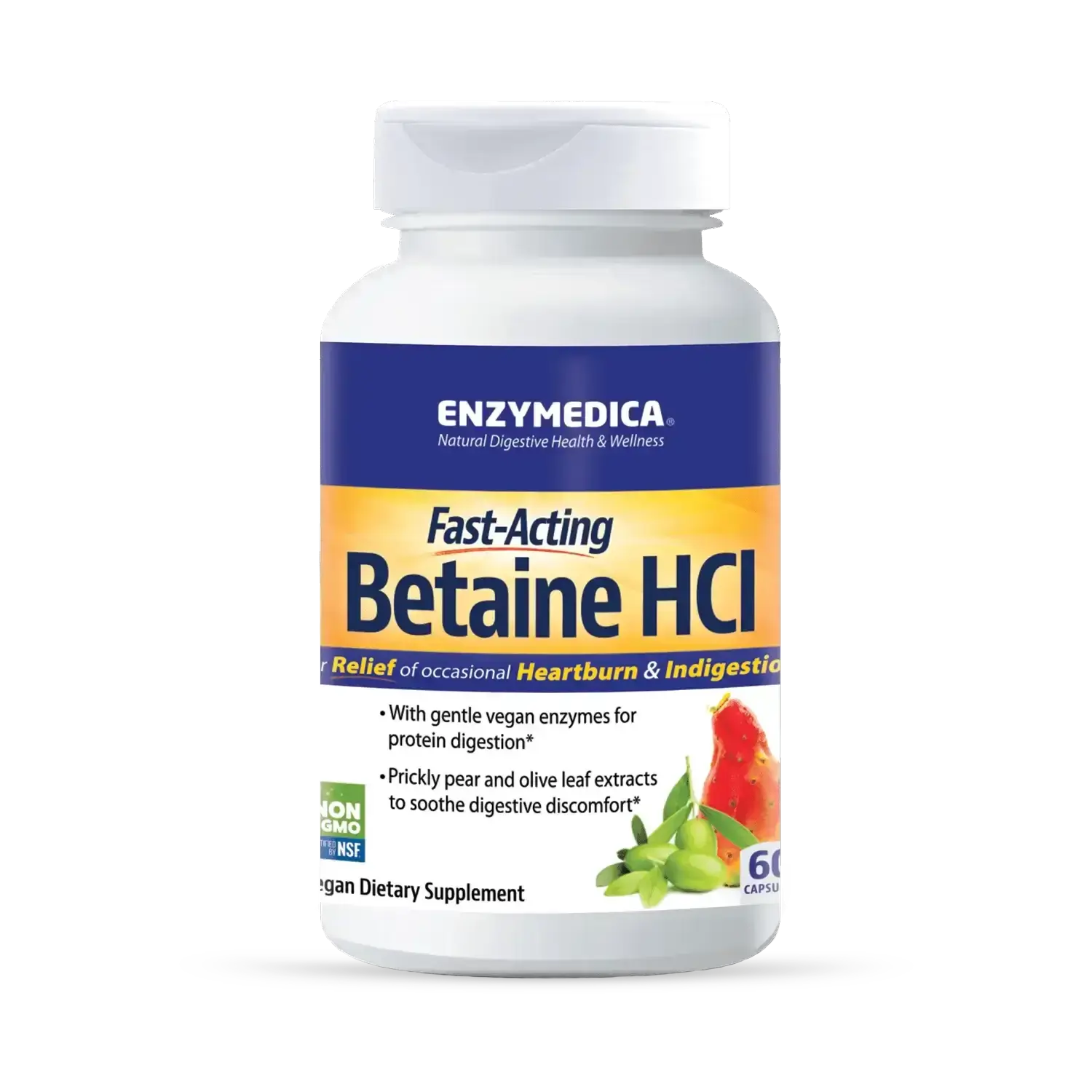 Enzymedica Betaine HCl for Men & Women - Betaine Hydrochloric Acid Supplement, Protease Digestive Enzyme Blend, Digestive Health Support, Occasional Heartburn & Indigestion Support, Vegan