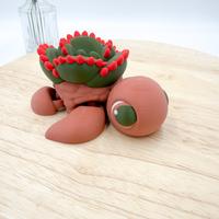 Jumbo Succulent Turtle