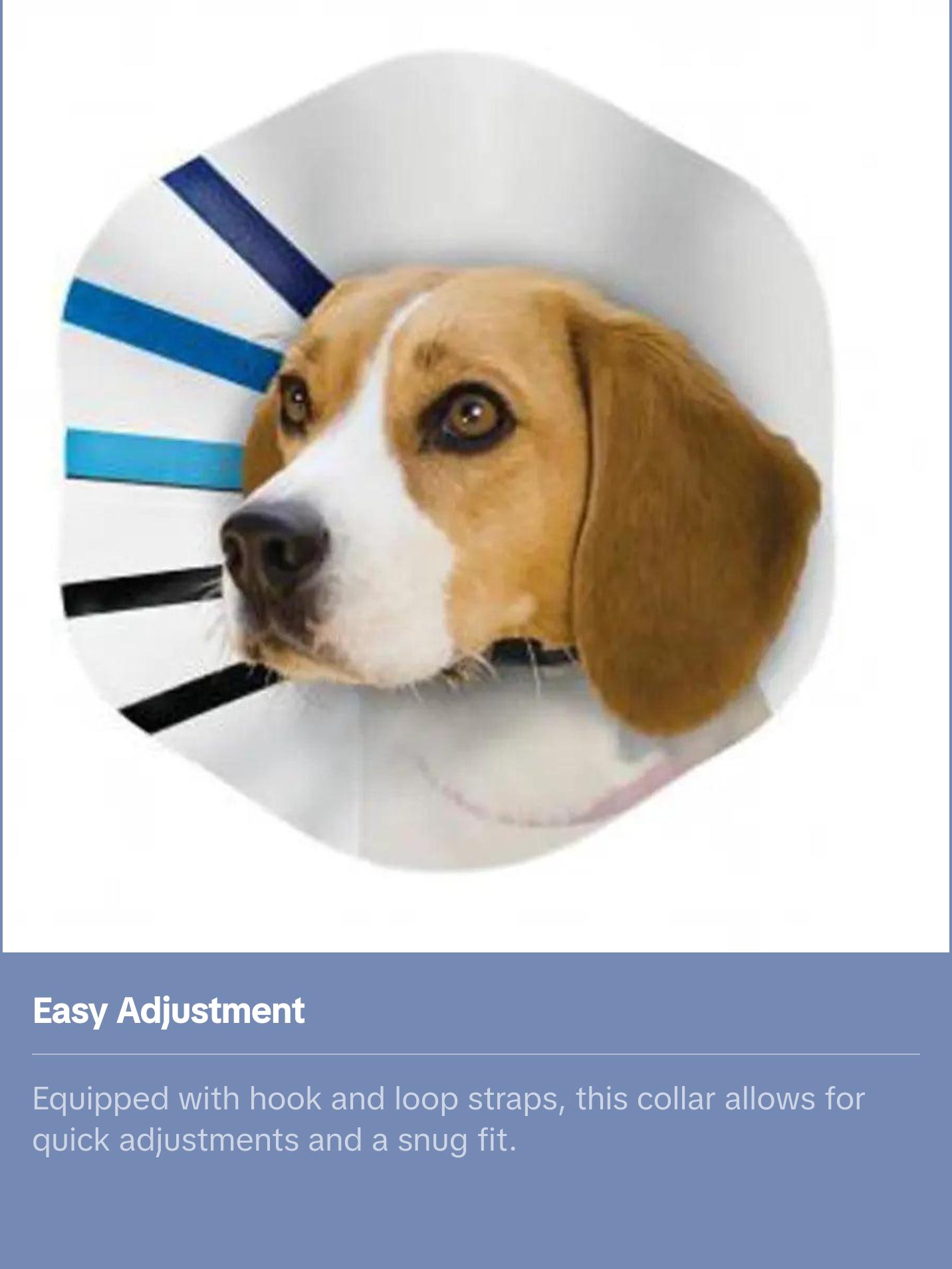 Kong® EZ Clear™ Dog Collar