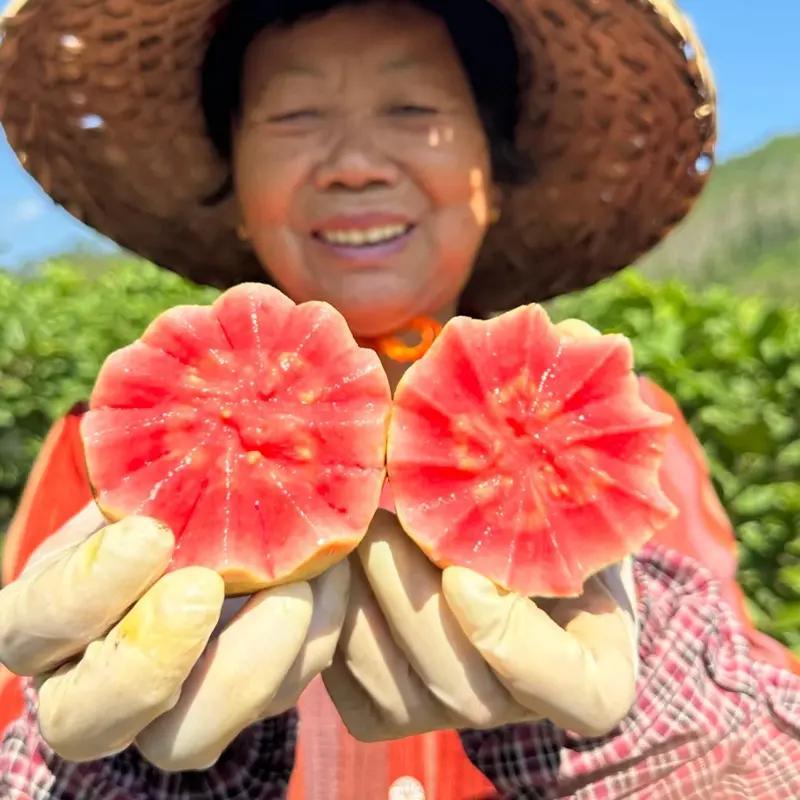 Guava Seeds for Potted Plants Greenhouses & Outdoor Gardens Easy to Cultivate Fruit Tree Seeds Ideal for Gardening Enthusiasts