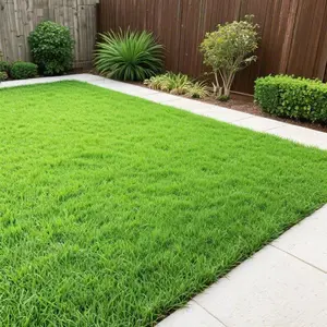 3000 Zoysia Grass Seeds for Lawn Planting – Warm Season Lawn Grass Seed Pack for Backyard Lawns, Garden Landscapes, Yard Projects and Outdoor Green Spaces – Seeds Only, Not Live Plants