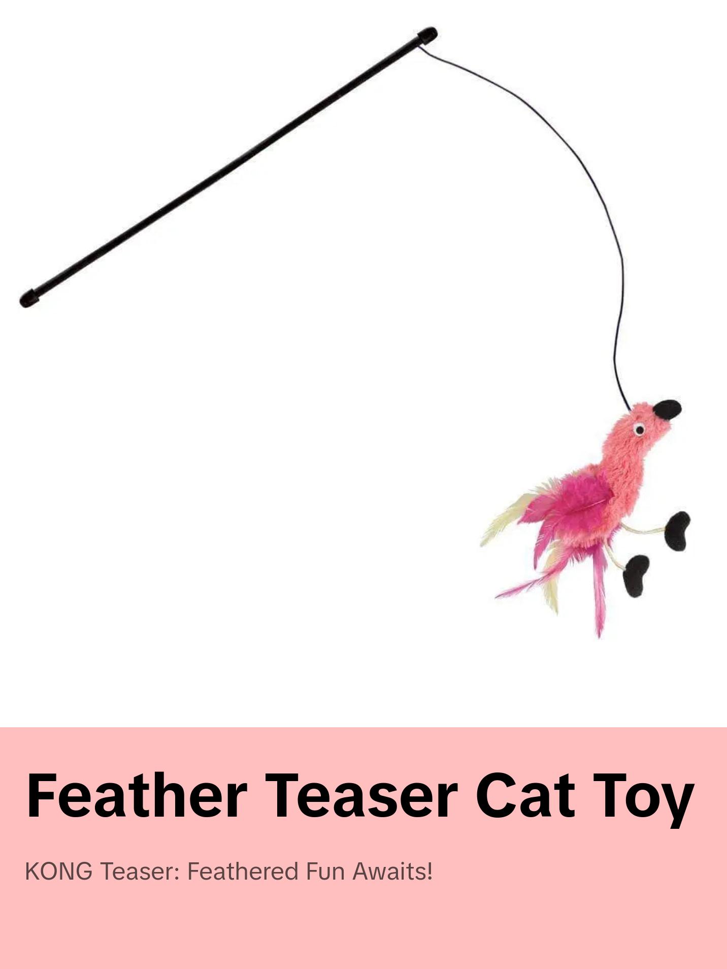 Kong® Feather Teaser Cat Toys Assorted