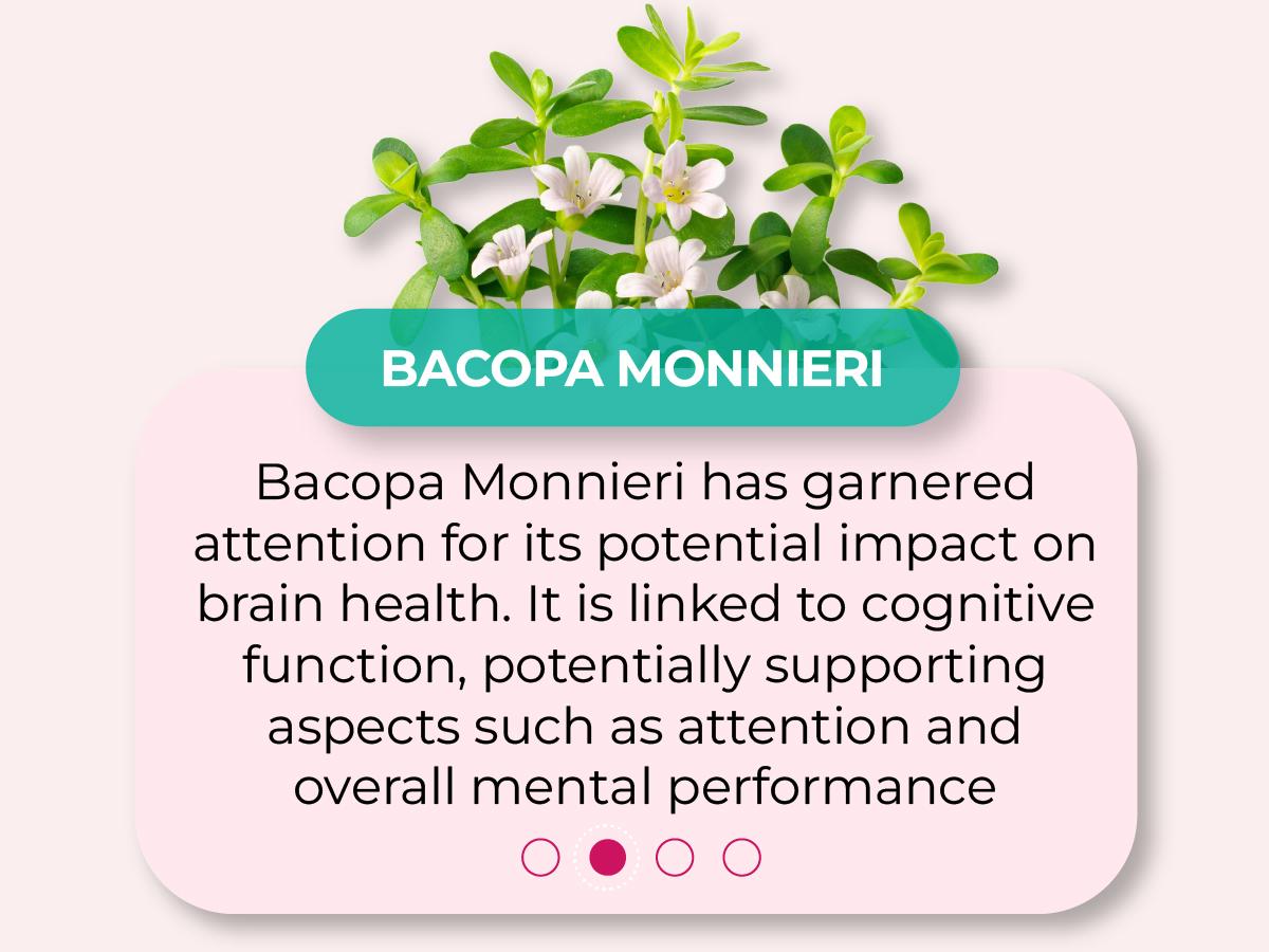 Ageless Brain Supplements for Memory and Focus by PUREHEALTH RESEARCH - Nootropic Brain Supplement - Brain Health Supplements for Adults - with Vitamin B6, Niacin, Alpha GPC & More, 60 Capsules Fitness Edible Dietary Healthcare Ageless Brain Supplements for Memory and Focus by PUREHEALTH RESEARCH - Nootropic Brain Supplement - Brain Health Supplements for Adults - with Vitamin B6, Niacin, Alpha GPC & More, 60 Capsules Fitness Edible Dietary Healthcare