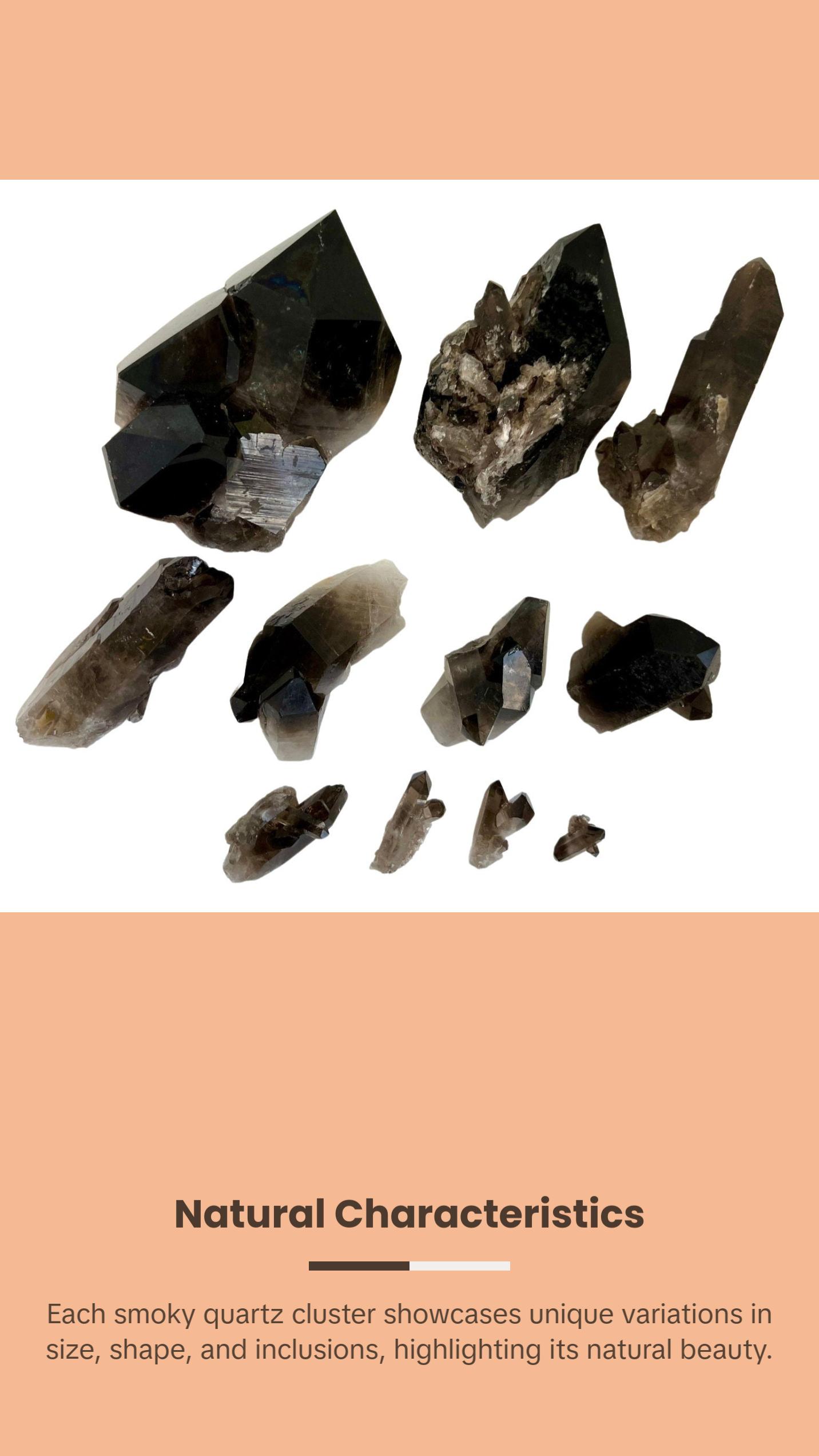 Raw Smoky Quartz Cluster with Large Points