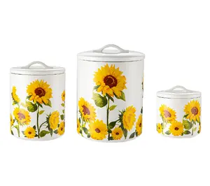 Set of 3 Nesting Canisters with Silicone Seals