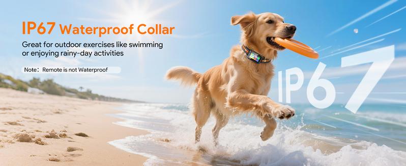 Meowant GPS Wireless Dog Fence Collar,with Training Remote,Custom Fence,Beep/Vibration/Correction,Alert Band,Waterproof LCD Collar,Outdoor Meowant GPS Wireless Dog Fence Collar,with Training Remote,Custom Fence,Beep/Vibration/Correction,Alert Band,Waterproof LCD Collar,Outdoor
