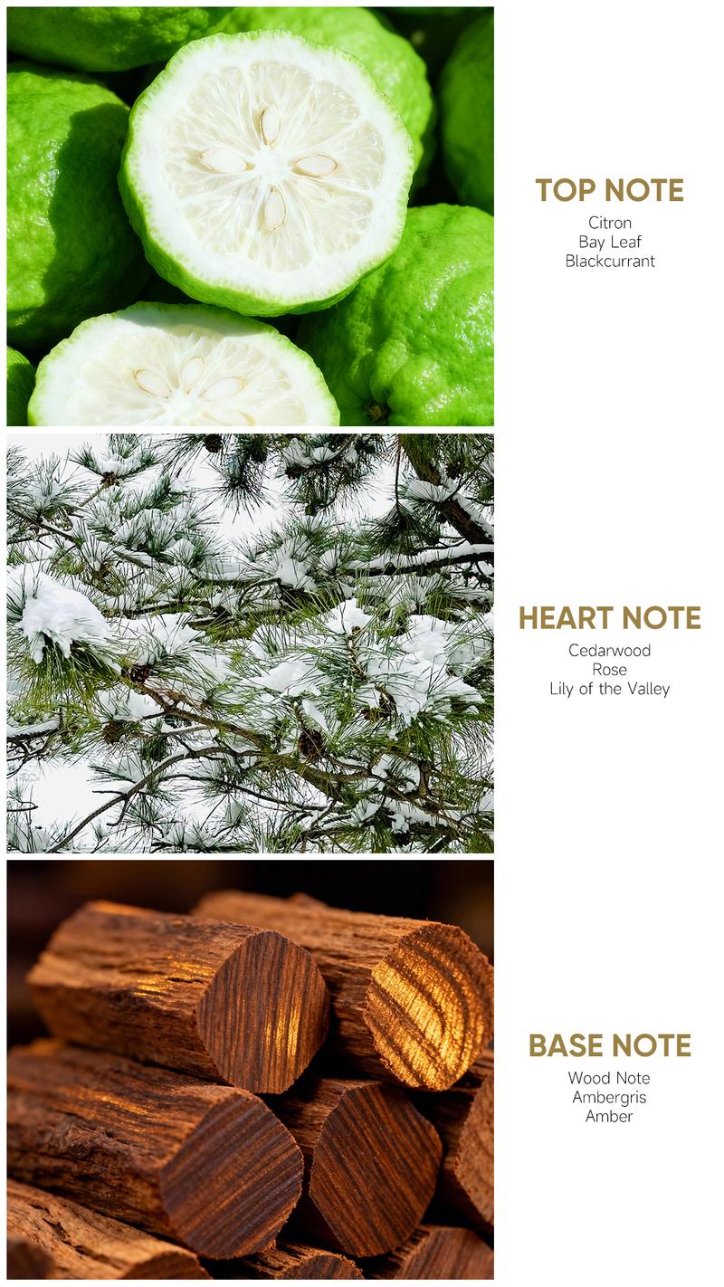 Lopeie Hotel Diffuser Oil for Home Refill 250ml-Citron, Cedarwood & Ambergris Fragrance for Ultrasonic & Waterless Diffusers