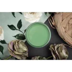 Kudzu- Dixie Belle Chalk Mineral Paint