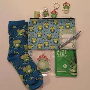 Frog Pouch with Socks Face Mask Freshner Broach Card Figurine Bookmark Keychain Notepad Pen Bag Bundle Set for Makeup and Organizing Stationary 9x6in Gift
