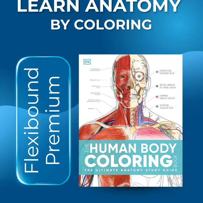 Anatomy Coloring Book • Human Body Study Guide (2nd Edition, Flexibound) — Premium Anatomical Workbook for Medical & Nursing Students / Learning Activity Book campingessentials Illustrated Activity Book Coloring Gift Book