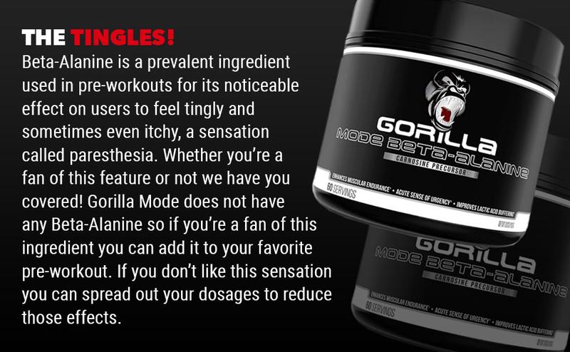 Gorilla Mode Beta-Alanine – Carnosine Precursor, Enhanced Muscular Endurance -  3.2 Grams per Servings - Unflavored (60 Servings)