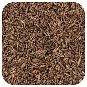 Frontier Co-op Organic Whole Caraway Seed, 16 oz (453 g)