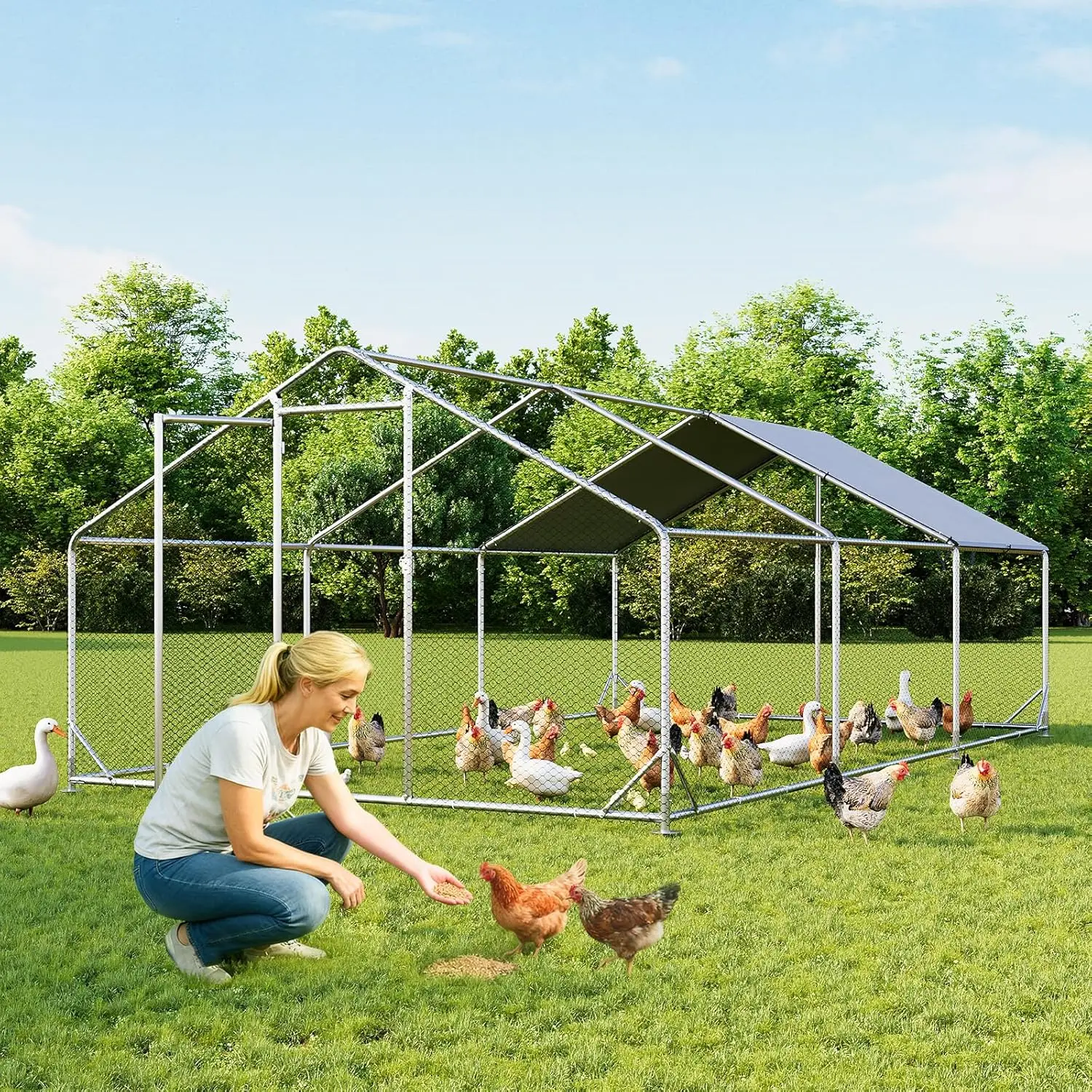 Aoxun Large Rust-Proof Coated Metal Chicken Coop (13x10/6.5x10 FT) - Walk-In for Easy Feeding Hex Mesh Enclosure, Steel Tubes, Peaked Roof Sheds Rain, Security Lock, 420D Oxford Fabric Cover, Predator-Safe Farm Cages & Accessories