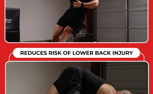 Sunny Health & Fitness Hyperextension Roman Chair, Home Gym Workout Fitness, Back Extension, Abs & Glute Training, Adjustable & Foldable, Ergonomic Pads, Heavy-Duty Frame, 250 lbs Capacity