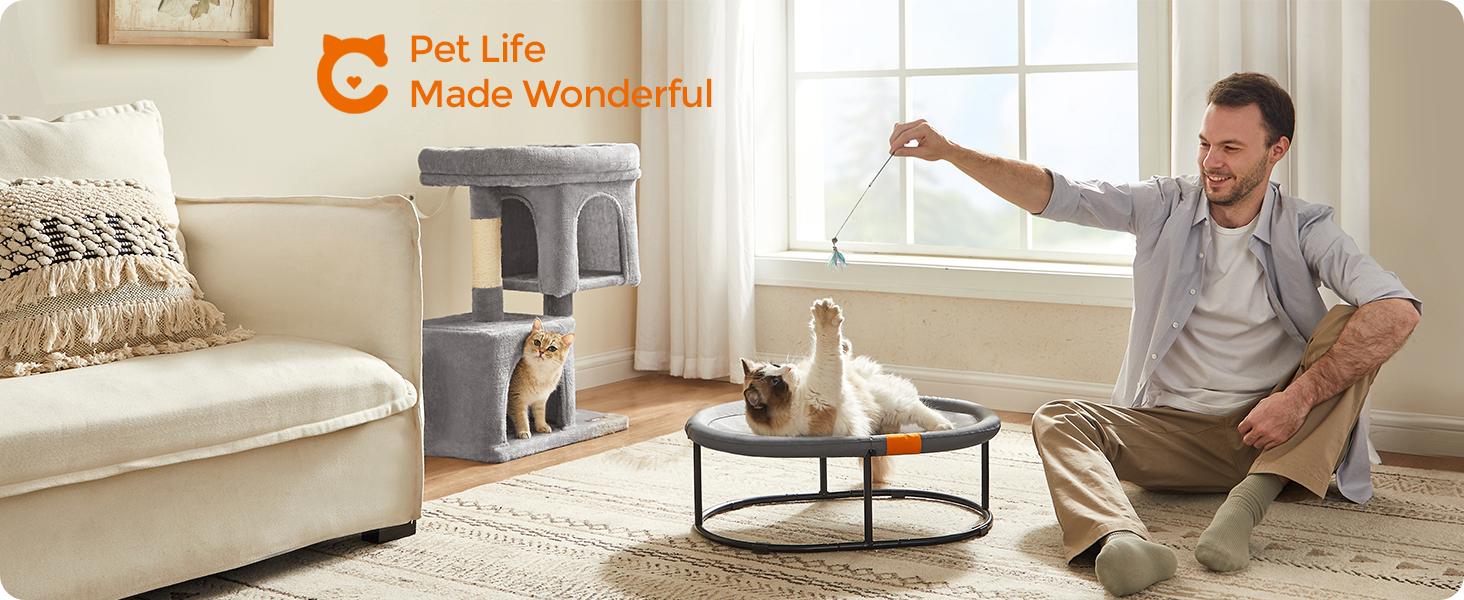 Feandrea Pet Bed, Cat Hammock, Elevated Cat Bed for Multiple Cats, with Removable Washable Mesh, for Pets up to 28 lb, Oval, Gray UPCB002G01
