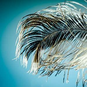 20 Pairs False Eyelashes 3D Faux Mink Lashes Natural Look Wispy Fake Eyelashes ALPHONSE 16-20MM Fluffy Volume Long Thick Lashes Pack 5 Styles Mixed Makeup Cosmetic