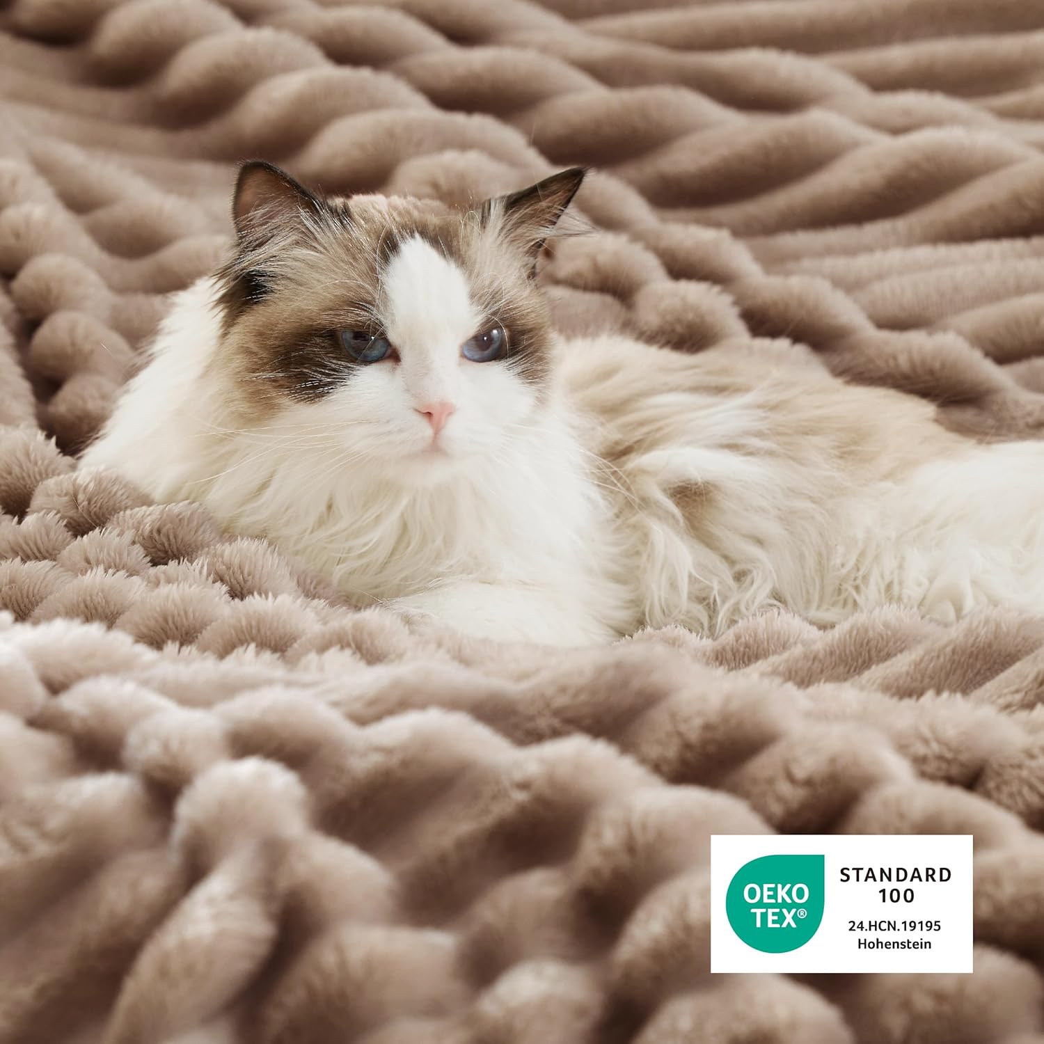 Raybee Soft Throw Blanket for Couch- Cozy Blanket for Bed ,Portable Cute Fleece Blanket ,Holiday Birthday Gifts for Family, Room Home Boho Fall Decor,Bedroom,Travel,Camping,Office