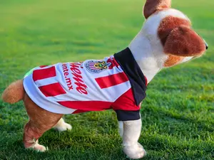 Camisa de chivas futbol para mascota razas pequeñas.  Small breeds chivas jersey