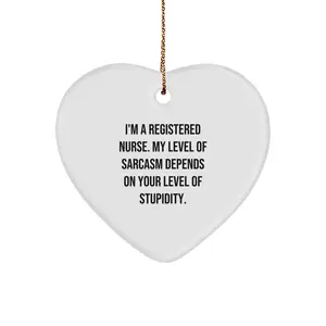Funny Registered Nurse Gifts for Christmas, Heart Ornament with Sarcasm Humor Quote, Gifts from Friends to Family