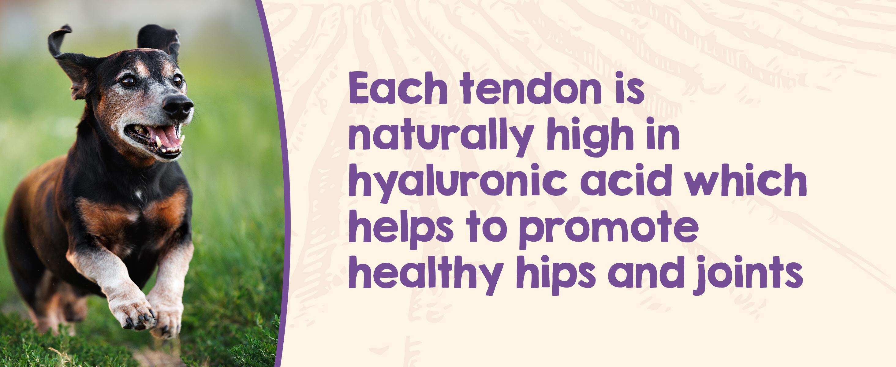 Riley's Turkey Tendons - Dehydrated Dog Treats - Made in USA - Single Ingredient - Multiple Sizes