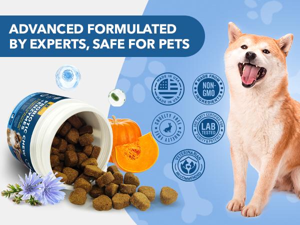 2Pack-Probiotics for Dogs - Dogs Probiotics Chews with Enzymes & Fiber Blend Supports Gut Health, Boost Immune - Natural Probiotic Supplement for Digestive, Diarrhea, Gas, Constipation, Itchy Skin,120Ct 2Pack-Probiotics for Dogs - Dogs Probiotics Chews with Enzymes & Fiber Blend Supports Gut Health, Boost Immune - Natural Probiotic Supplement for Digestive, Diarrhea, Gas, Constipation, Itchy Skin,120Ct