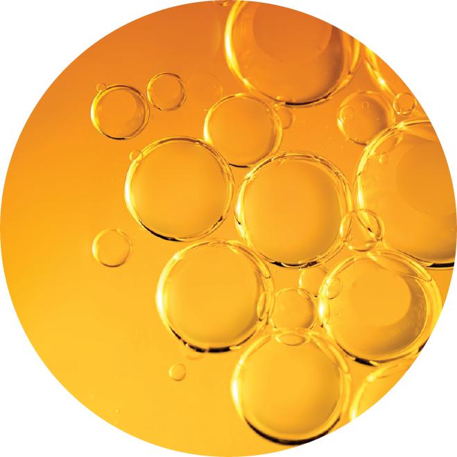 Ultra Hydrating Turmeric Shampoo Natural Moisturizing Herbal