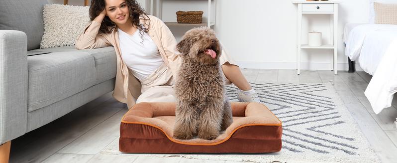 Orthopedic Dog Bed, Memory Foam Pet Bed for Medium Dogs with Washable Removable Cover Non-Slip Base Waterproof Liner Egg Crate Foam