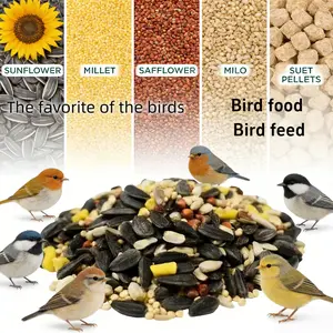 Bird's main food