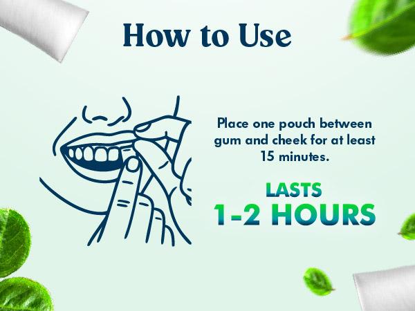 Frost & Fruit Set - Zennies by Parrox - Caffeine Nootropic Pouches (Wintergreen & Mango Blast Flavor) - No Nicotine, No Sugar, & All Natural - Fast Absorption for Energy, Focus, & Clarity - (Pack of 2)