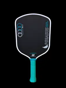 Pegasus Alpha Pro Power