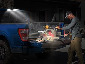 Nilight Third Brake Light Tail High Mount 3rd Stop Cargo Reverse Lights Clear Lens Compatible with Ford F150 2015 2016 2017 2018 2019 2020 Super Duty F250 F350 2017+ Ranger 2019+ Maverick 2022+ Truck Vehicle