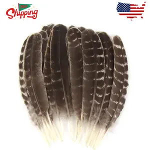 15pcs Natural Turkey Feather, 10-11 Inches